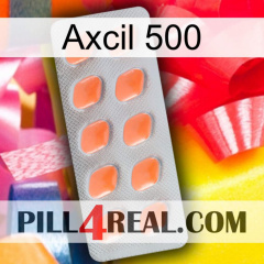 Axcil 500 26